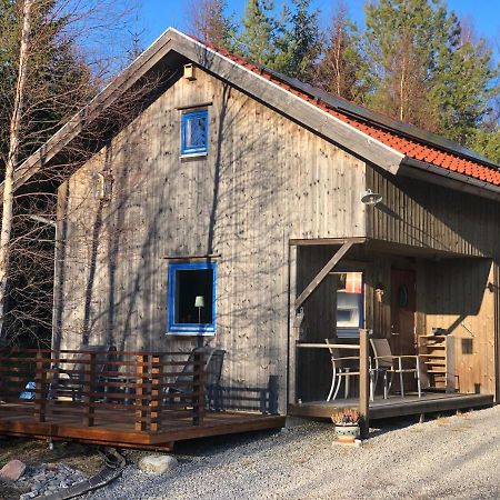 Mysig Och Modern Stuga Pa Snoegard, Naera Havet Och Naturen Lur (Tanum) Exterior foto
