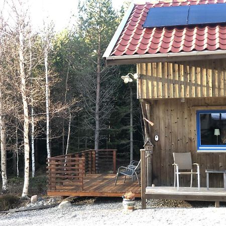Mysig Och Modern Stuga Pa Snoegard, Naera Havet Och Naturen Lur (Tanum) Exterior foto