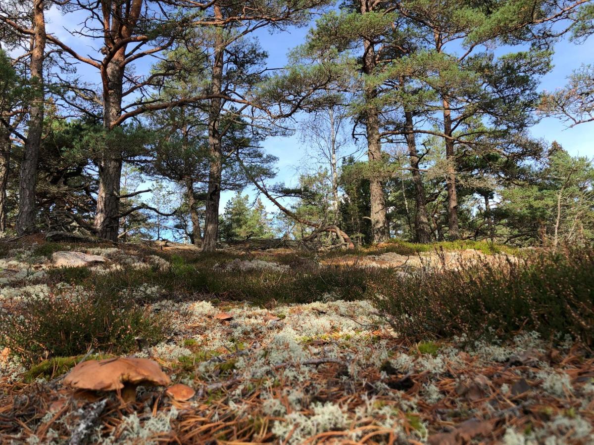 Mysig Och Modern Stuga Pa Snoegard, Naera Havet Och Naturen Lur (Tanum) Exterior foto