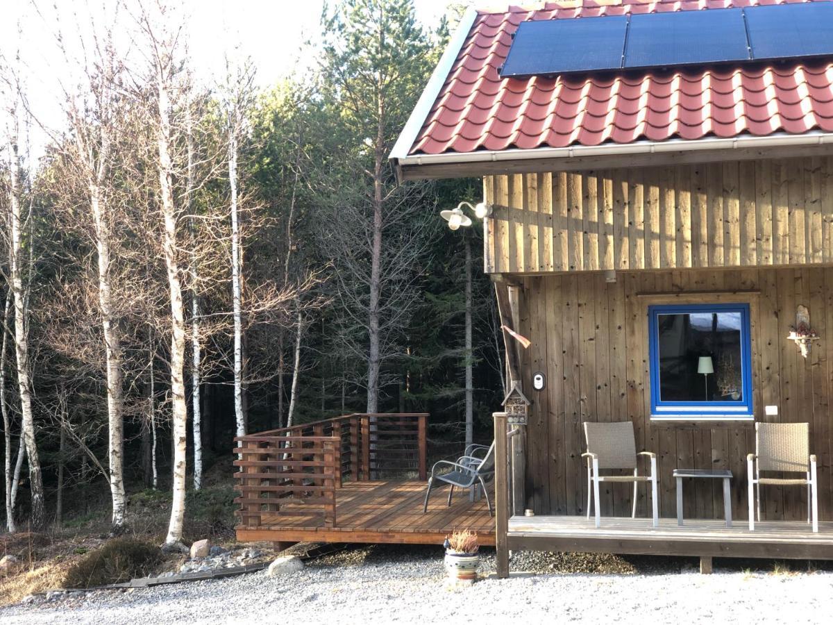 Mysig Och Modern Stuga Pa Snoegard, Naera Havet Och Naturen Lur (Tanum) Exterior foto