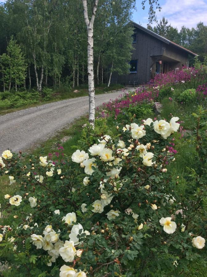 Mysig Och Modern Stuga Pa Snoegard, Naera Havet Och Naturen Lur (Tanum) Exterior foto